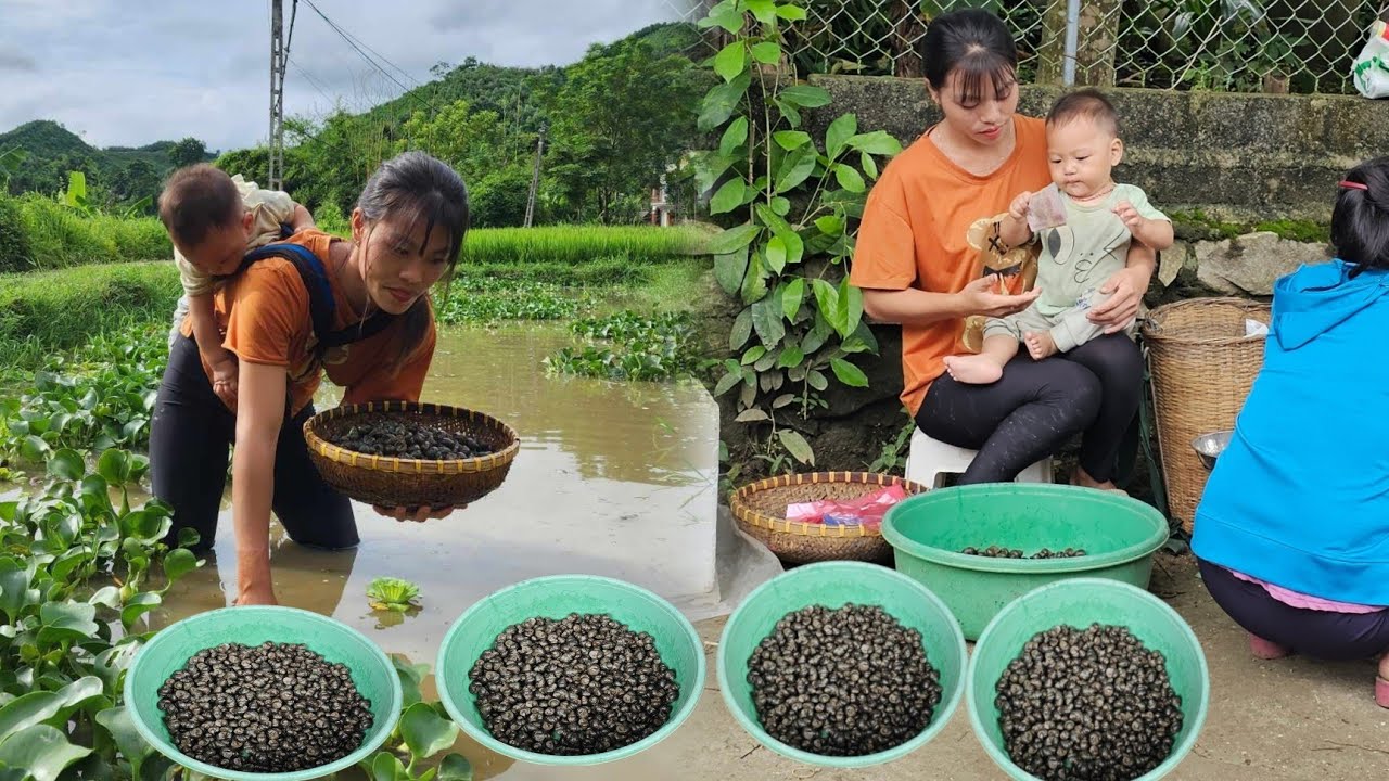 Single mother caught snails and brought them to the big market to sell ...