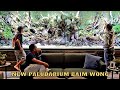 AKHIRNYA !!!  PALUDARIUM VIRAL BAIM WONG SELESAI