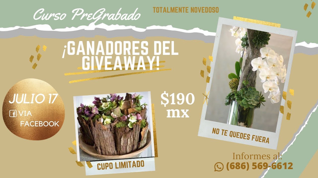 ¡GANADORES DEL GIVEAWAY PARA 3 CURSOS GRATIS! YouTube