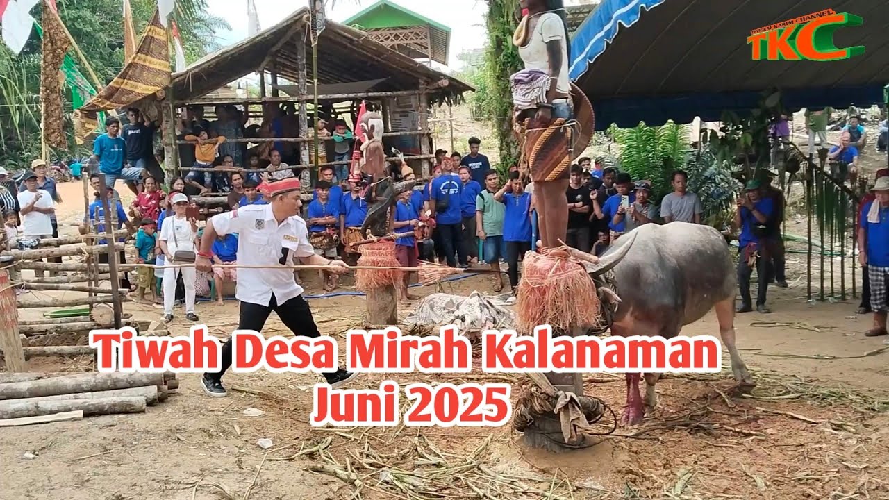 Tiwah Desa Mirah Kalanaman Juli 2025 || Keluarga Besar Kadendet, Ritual Tiwah, magah laluhan