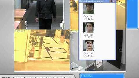 Face Detection in Object Index