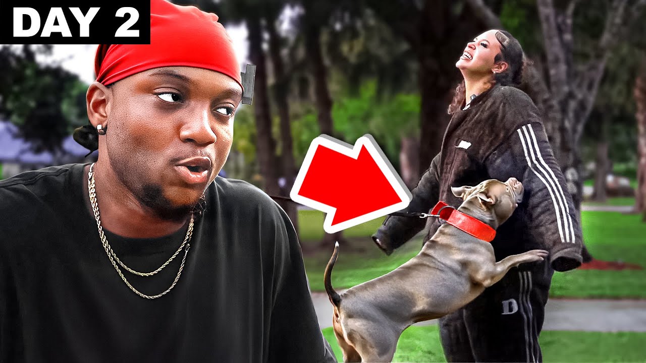 My Caretaker Got Attacked By Dogs