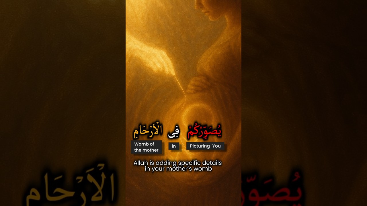 How to Find your Purpose in Life 