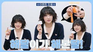 [강미나] 해달이가 해본달!🎬| 물 마시고 귤도 까고 그림도 그리고 퀴즈도 푸는 해달이의 바쁜 하루✨