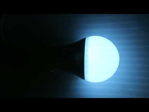 Lampadina WiFi Teckin con Google Home