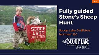 Do EWE Wanna Stone's Sheep Hunt in British Columbia