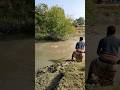 Giant fish catching by cast net #fishingvideo #shortvideo #castnetfishing #foryou #fishing