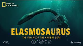 Elasmosaurus The Long-Necked Ocean Giant That Ruled The Cretaceous Seas