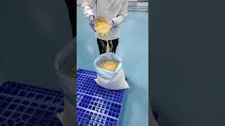 IQF Frozen sweet corn kernels