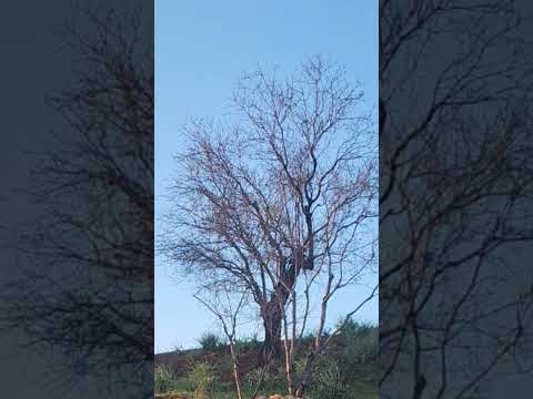 كل موسم صيد سمن وأنتوا بخير يا أحباب 