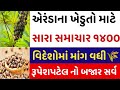 Arenda na bhav |21-12-2024 |એરંડા નાં ભાવ:2024 | information about arenda price| coster price trade