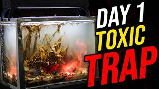10 Fish Tank Setup Mistakes Killing Your Fish (How to Fix)