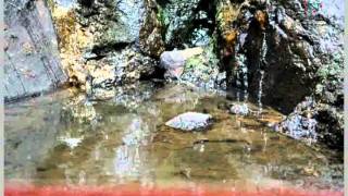 industria y turismo en lerma de villada estado de mexico