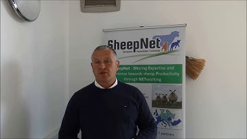 Irish testimony, Solution number 3. BCS tool kit - Damian Costello