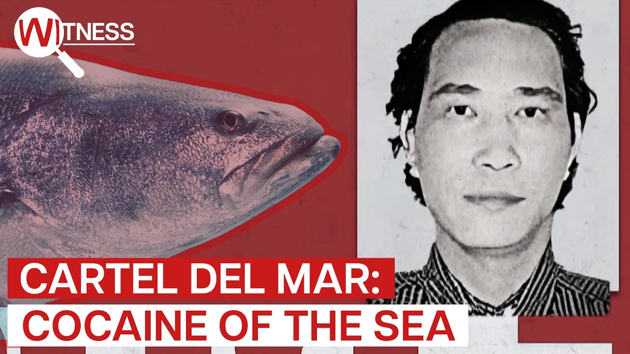 Внутри черного рынка Мексики: самая дорогая рыба в мире