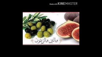 والتين والزيتون ___________________ سورة التين