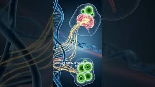 What’s Hiding in the Other 99% of Your DNA? #JunkDNA #HiddenGenome #GeneControl #DNASecrets #Human