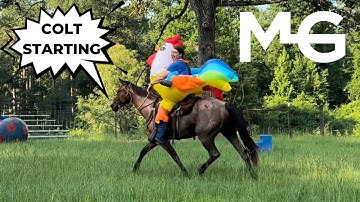 Horse Help Train-Off Episode #5: QH Colt Starting Competition | The Horse Guru - Michael Gascon