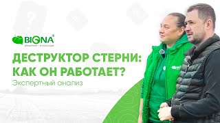 Как работает деструктор стерни? Экспертный анализ с Павлом Солосенковым