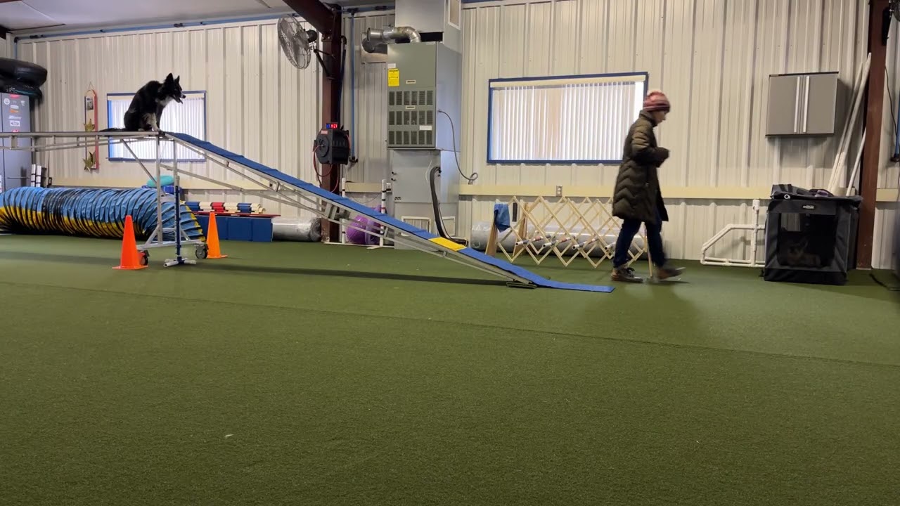 Mia RC progression static changing target position