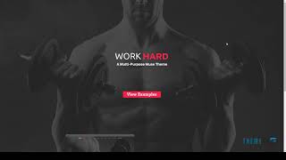 Work Hard One Page Muse Template        Lake Adam screenshot 5