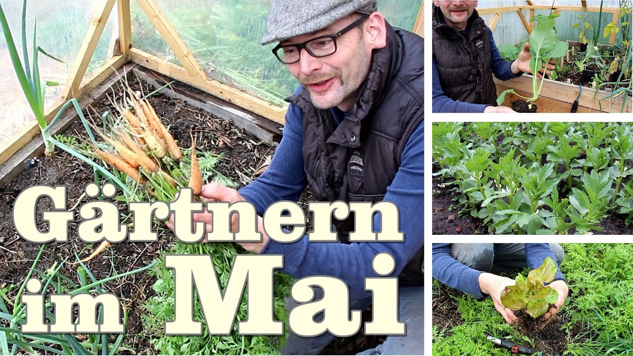 Gärtnern im Mai , Gartentipps und Gartenrundgang YouTube