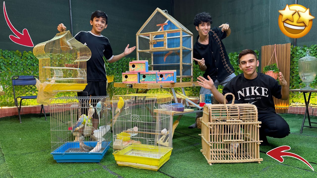 Муди хочет попугая! Мы купили бюльбюлей для сада, и теперь у нас есть убежище! 😍🦜