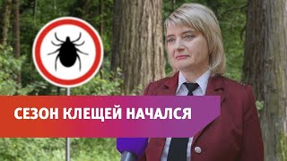 Как защищаться от клещей?