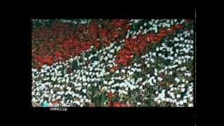 Download lagu MNC Cup - 21-24 November (Promo)