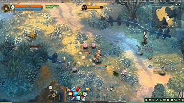 Tree of Savior - Military Support [Hidden Quest]