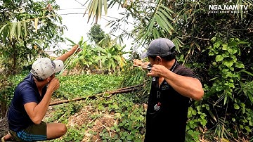Săn Bắt Bằng Ná Cao Su Cười Bể Bụng Với Ông Khầy/Slingshot/NGÃ NĂM TV