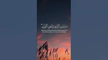 تلاوة عطرة من سورة طه بصوت القارئ هيثم الدخين #quran #هيثم_الدخين  #قرآن #تلاوة_خاشعة #أذكار