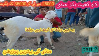 Laluket bakra mandi me qurbani 2024 ka sasta janwar |22 april 2024| bakra mandi 2024  . part 2