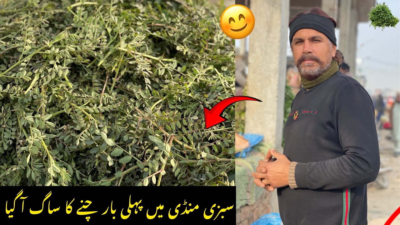 Bahawalpur Sabzi Mandi Mein Pehli Baar Channay Ka Saag Aa Gaya😱