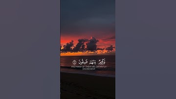 سورة الحديد الآيات{١٦-١٧} #المصحف #quran #اكسبلور #دويتو #حالات_واتس #duet#islamicfestival #duet #لا