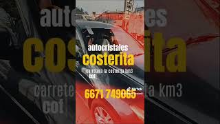CRISTALES AUTOMOTRICES COSTERITA 6617 749065