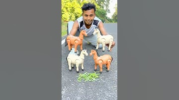 4 Rc Horse Unboxing & Testing 🐎😲🔥