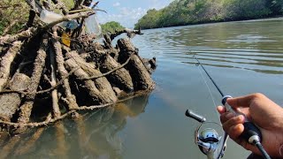 Jangan Ditiru Ini Spot Ajaib Yang Di Huni Banyak Ikan Enak