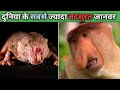 येहैं दुनिया के सबसे बदसूरत जानवर | world top five most ugliest animals | Fact Trilogy