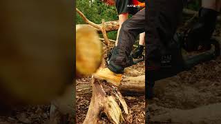 From light trimming to heavy-duty cutting, Batavia has the right tool for every job! 🌳💪 #chainsaw @BataviaEU