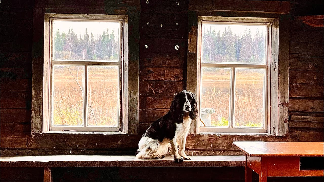 Одни в глуши. Установили печь. Пешком на таёжную речку.