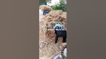 Soybean corn sorghum thresher mung bean maize wheat threshing machine