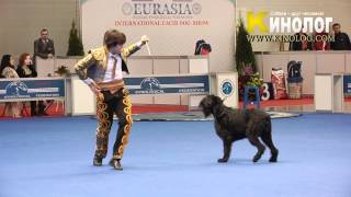 Dog dancing show 'Eurasia  2012 / Russia / Moscow'. Freestyle. by KinologVideo 4,467 views 12 years ago 3 minutes, 49 seconds