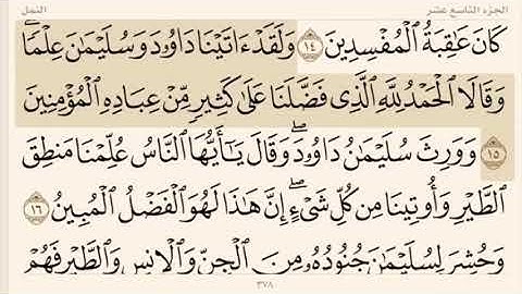 سورة النمل /من الآية ١٤ وحتى ٥٥- وادي النمل وقصة ملكة سبأ بصوت القاريء إسلام  صبحي
