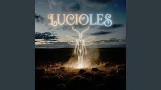 Luciole (DJ Sarcastic remix)