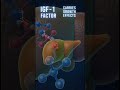 Why Growth Hormone Does More Than Make You Taller | Science Nobody Fully Explains | Shocking Truth