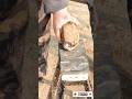 The Largest Hoof I Have Ever Had To Trim. Horse Restoration Front Hooves. #horse #donkey #hoof #asmr