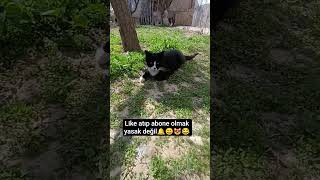 Bu Yasaklar Hiç Bitmeyecek