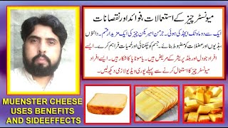muenster cheese kay istimalat fawaid aor nuqsanat | munster cheese uses benefits and sideffects |