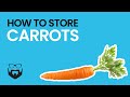 How to Store Carrots